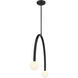 Contemporary LED 4 inch Matte Black Chandelier Ceiling Light