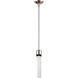 Zigrina 1 Light 5.13 inch Polished Nickel with Satin Brushed Black Pendant Ceiling Light