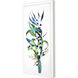 Sea Life Blue and Green and Multi and Turquoise Framed Art, The Studio