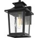 Redner 1 Light 11.5 inch Black Outdoor Wall Sconce