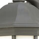 Hawthorne 1 Light 14 inch Painted Bronze Outdoor Sconce
