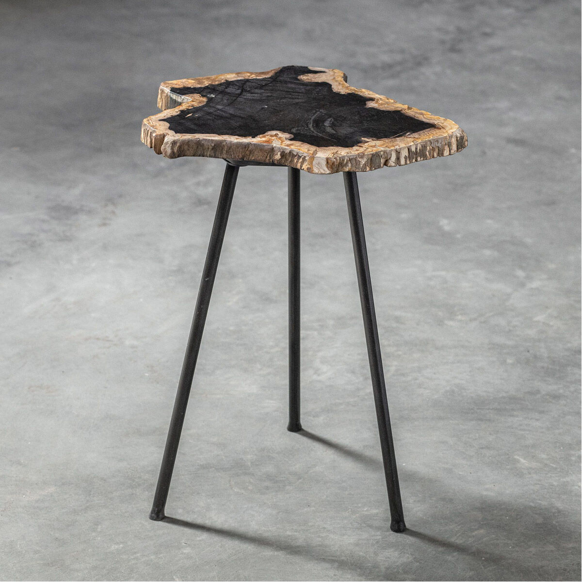 Mircea 20 X 16 inch Natural Petrified Wood and Aged Black Accent Table