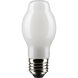 Lumos LED Medium Medium 8.00 watt 4000K LED Filament