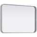 Remy 30 X 20 inch Silver Mirror