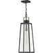 Hugh 1 Light 8.5 inch Black with Burnished Bronze Outdoor Hanging
