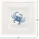 Indigo Sealife Blue and Gray and White and Multi Framed Art, Propac