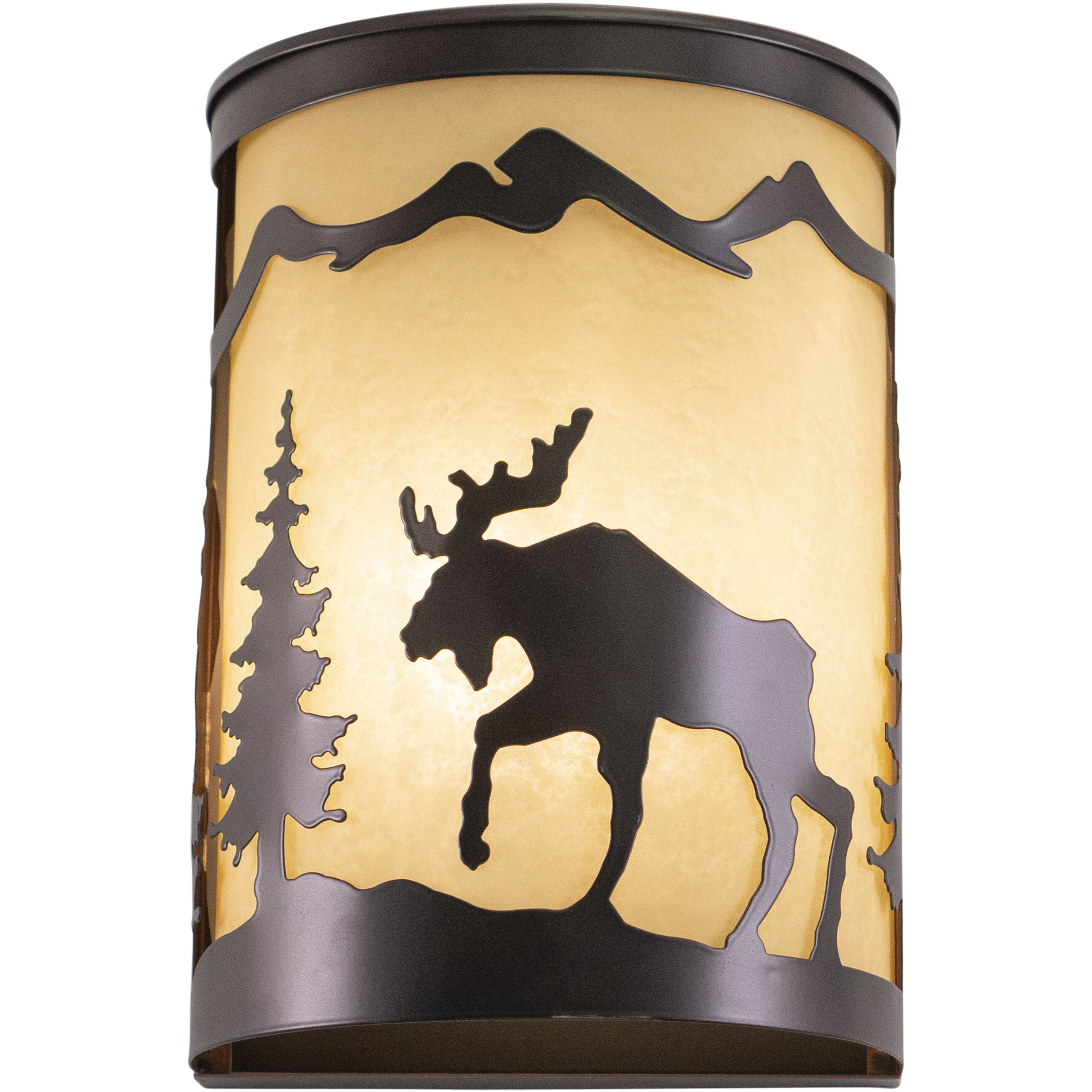 Yellowstone LED 8 inch Burnished Bronze Wall Light