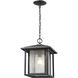 Aspen 1 Light 11 inch Black Outdoor Chain Mount Ceiling Fixture