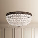Petit Crystal 5 Light 14 inch Polished Silver Flush Mount Ceiling Light in Spectra