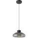 Sarnarra LED 12 inch Black Pendant Ceiling Light
