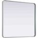 Remy 40 X 36 inch Silver Mirror