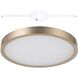 Argyle LED 16 inch Champagne Gold Flush Mount Ceiling Light