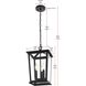 Cayman 3 Light 9.5 inch Black Outdoor Pendant