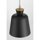 Holloway 1 Light 15 inch Legacy Brass and Dark Matte Black Pendant Ceiling Light