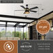 Scottsdale 21.65 inch Black and Gold with Black-Walnut Blades Ceiling Fan