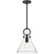 Alora Mood Emerson 1 Light 10.5 inch Matte Black Pendant Ceiling Light in Clear Glass