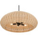 Natora 5 Light 24 inch Matte Black Pendant Ceiling Light