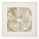 Emboss Beauty Beige and Metallic and Neutral and Rust Framed Art, Propac
