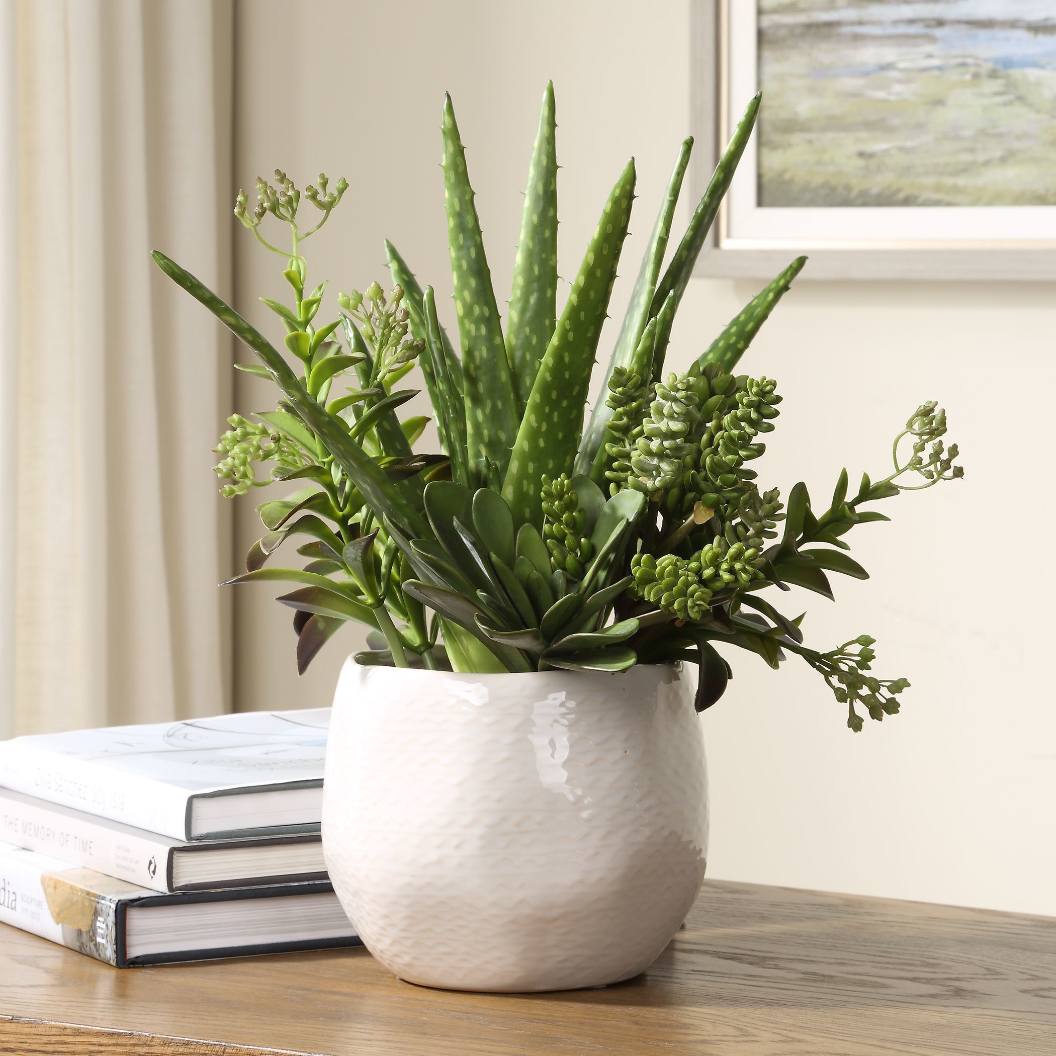 Sundown Succulent Green and White Succulent Accent Planter