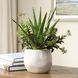 Sundown Succulent Green and White Succulent Accent Planter