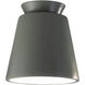 Radiance Collection 1 Light 7.5 inch Pewter Green Outdoor Flush-Mount