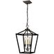 Lundy's Lane 3 Light 11.75 inch Multiple Finishes and Graphite Pendant Ceiling Light