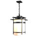 Banded 1 Light 14 inch Coastal Black Outdoor Ceiling Fixture, Large