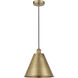 Edison Cone LED 12 inch Antique Brass Mini Pendant Ceiling Light