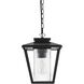 Gaul 1 Light 10 inch Black Outdoor Pendant