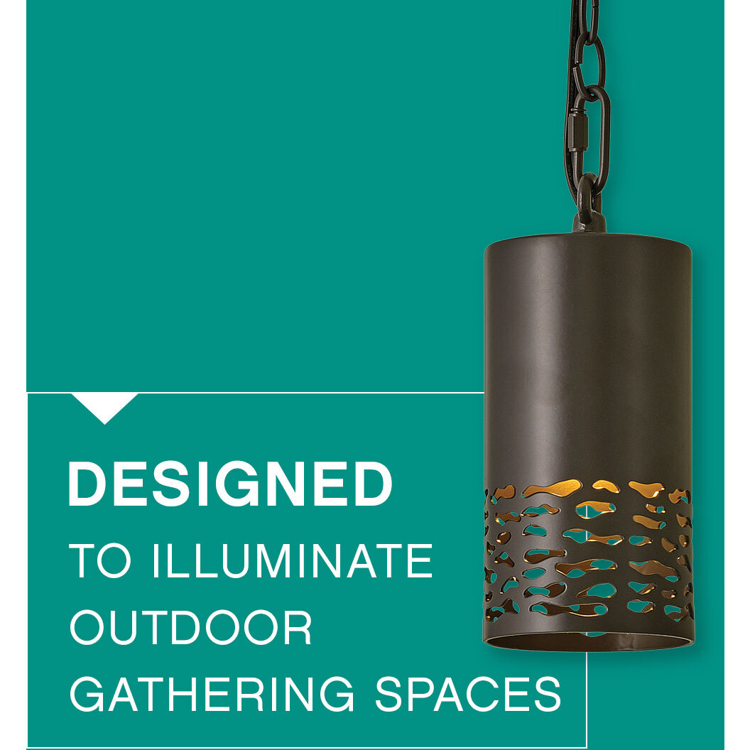 Calder 12v 1.50 watt Bronze Landscape Twinkle Light