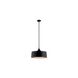 Elias 1 Light 22 inch Black Pendant/Semi Flush Ceiling Light