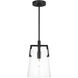 Drew & Jonathan Crofton 1 Light 7.75 inch Midnight Black Pendant Ceiling Light, Small