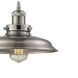 Biern 1 Light 10.71 inch Pewter Pendant Ceiling Light