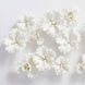 Primrose White Wall Decor, Small