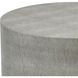 Dexter 18 X 16 inch Gray Accent Table
