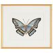 Beautiful Wings V by Joy Colangelo Giclees, Animal