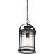 Booker 1 Light 11 inch Mystic Black Hanging Lantern Ceiling Light