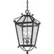 Santa Barbara County 4 Light 15 inch French Iron Outdoor Lantern