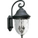 Coventry Outdoor Wall Lantern
