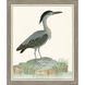 Heron Bird I Blue and Green and Multi Framed Art, Propac