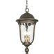 Havenwood 4 Light 12 inch Tavira Bronze And Alder Silver Outdoor Hanging Light, Great Outdoors 