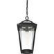 Lakeview 1 Light 9 inch Aged Bronze and Clear Outdoor Hanging Lantern