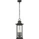 Tiberius 4 Light 9 inch Black Outdoor Chain Mount Ceiling Fixture in Clear Seedy Glass