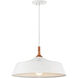 Danika 1 Light 16 inch White Pendant Ceiling Light