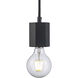 Placerville 1 Light 2 inch Black Mini Pendant Ceiling Light