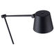 TESA 50 inch 9 watt Black Floor Lamp Portable Light