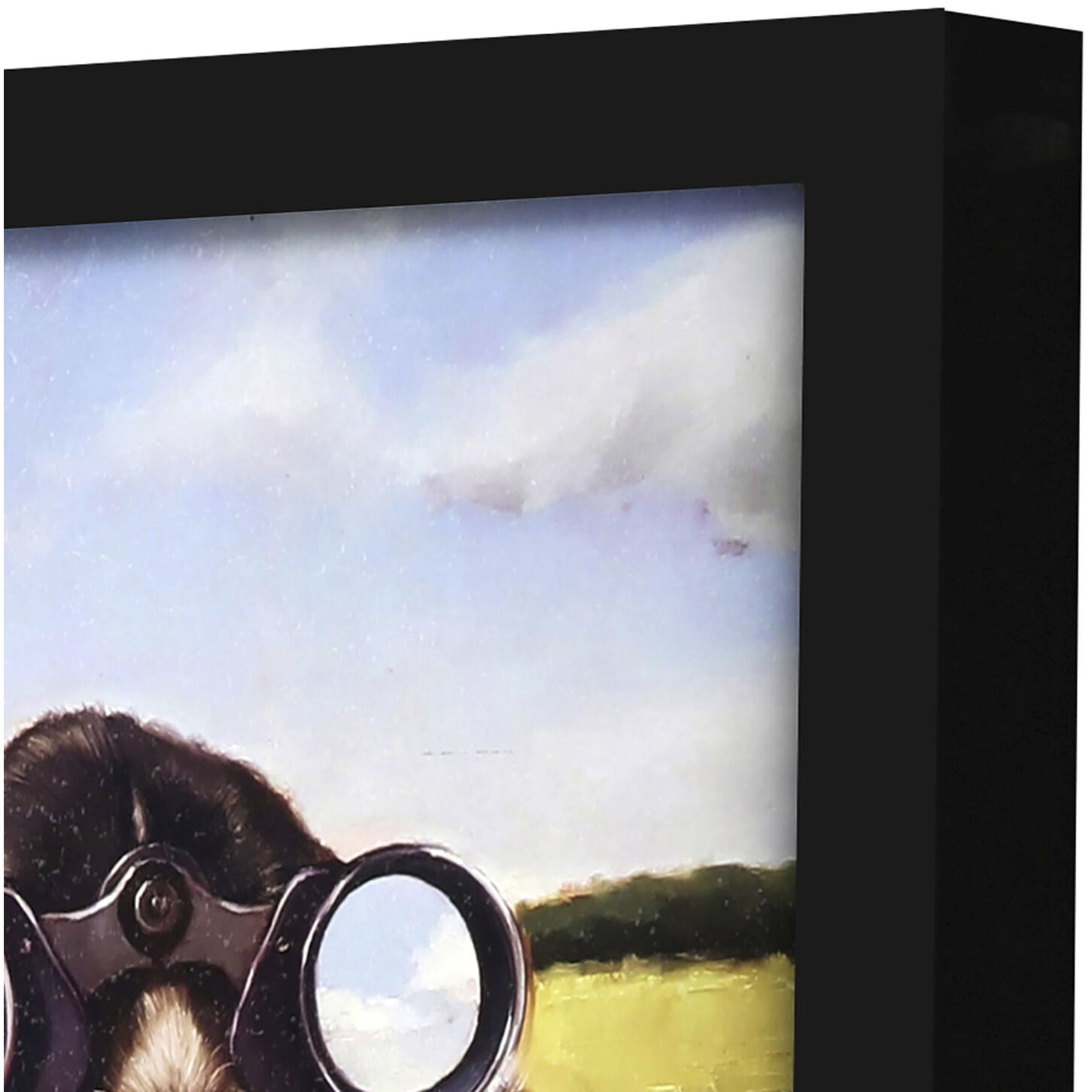 Animals 11 X 11 inch Non-Glass Framed Art, Propac