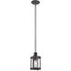 Palencia 1 Light 6.5 inch Artisan Pardo Wash Mini Pendant Ceiling Light