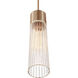 Fusion Collection - Rimini Family 1 Light 2 inch Brushed Brass and Clear Ribbed Pendant Ceiling Light, EVOLV