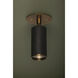 Caleb 1 Light 4.75 inch Patina Brass/Bronze Flush Mount Ceiling Light